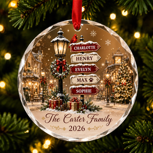 Personalized Family Street Sign Glass Ornament Christmas Gift